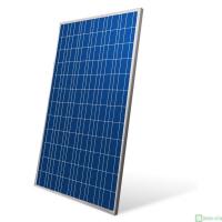 Поликристаллический модуль Delta BST 310-24 P
